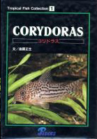 CORYDORAS(コリドラス)Tropical Fish Collection 1